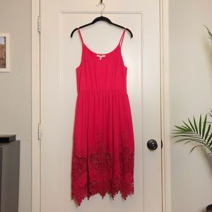 NWT Designer Maje Paris Dress with Lace Detail